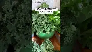 Вот как я сохраняю свежесть капусты кале на столешнице. Этот же способ подойдёт и для другой лист...