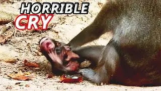 HORRIBLE CRY...UNDER MOMMY ANNA !! ANISSA CRY FROM HEART HURT AND ANGRY MOM FIGHT.