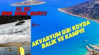 DEV Orkinos!! Naber ? Dedi.😅Çadırı Su Bastı! Kamp ve Balık. #balıkavı #kayakfishing #oltabalıkçılığı