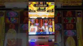 Oregon Lottery panda game. #videolottery #gambling #winning