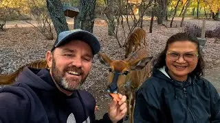This is the TRUE AFRICAN BUSHVELD - This is how SOUTH AFRICANS do it! 🇿🇦