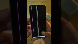 SGS218256SEPGGLPL31125