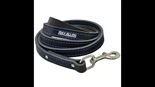 Leather Dog Leashes vs Nylon Dog Leashes vs Biothane Dog Leashes