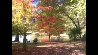 The Kelly Gallery Gardens. Weddings, Retreats and Portraits. Overland Park Kansas