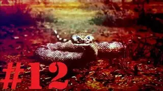 Hitman: Absolution - PART 12 - Into and Down Under