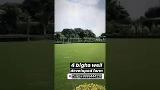 4 Bigha Well Developed Farm at Noidacommercial.com