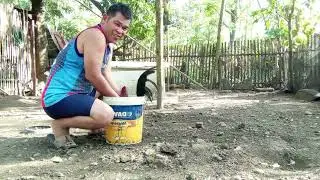 PALIGO NG FGHTING COCK AND DOGGIE 2026