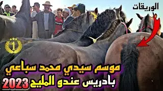 موسم سيدي محمد سباعي بادريس عندو جدوعا ملاح تبارك الله.اجواء سوق كامل💯