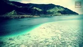 Cool Nature - Uplifting and Creative Background music for presentation
