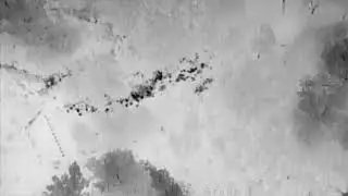 Autonomous FLIR thermal for Search and Rescue (SAR)