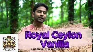 #ceylonvanilla #organicvanilla #youtubeshorts