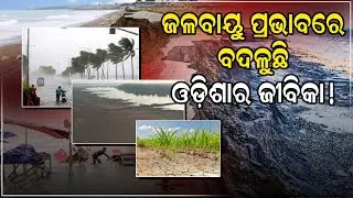 The impact of climate change on Odisha&rsquo;s coastline and livelihood |Climate and Coast|@dutimesodisha 
