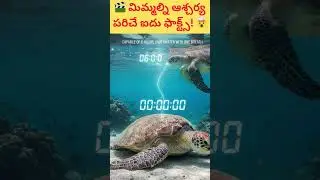 TOP 5 UNKNOWN INTRESTING FACTS || 5facts that will blow your mind|| VV PRESENTS||FACTSINTELUGU||shor