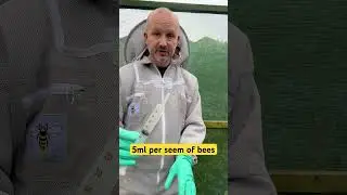 Treating Honey Bees for varroa using Apibioxal and the dribble method #honeybee #beekeeping #bee