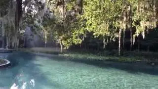 Why Kelly Park At Rock Springs Is The Best Springs | Florida Must Do