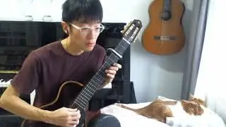Take Me Out to the Ball Game - Albert von Tilzer - Fingerstyle Guitar - 20230914