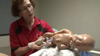 Birthing Simulator to bolster clinical learning at School of Nursing
