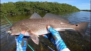 Cold Water Redfish and Trout on GULP!