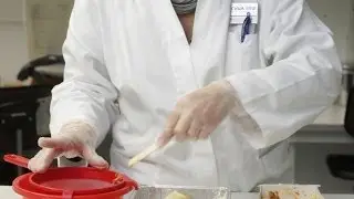 Food Safety a Global Concern
