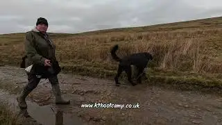 Day 2 of E-collar training for Enzo