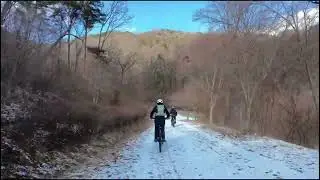 홍산-보문산임도 260111