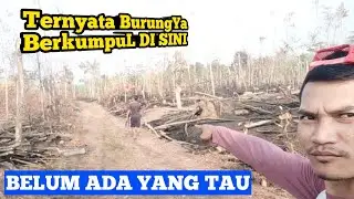 Mikat Burung Di Hutan || Tempat Suku Baduy Berladang 