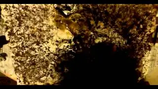Kuru Art : Tropic Paradoxia Equilibri