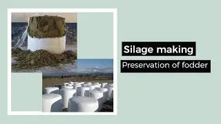 Silage (Preservation of fodder) | veterinary first year and second year