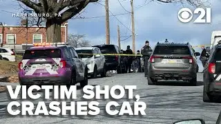 Gunshot victim dies after crashing car while driving away from Harrisburg scene