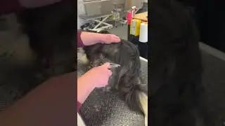 Under coat removal. So satisfying.