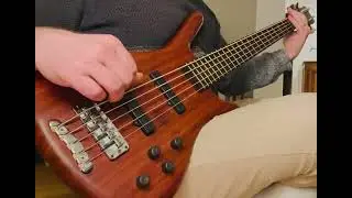 Warwick Corvette Std 5 Low B