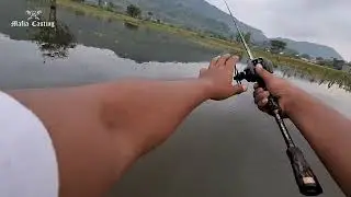 SPOT KATEKAN, KLATEN ‼️ CASTING IKAN GABUS KOCOLAN 🤣🎣💥