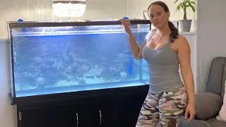 PECERA DE AGUA SALADA ASÍ FUE EL PROCESO 😍 ( PARTE UNO )