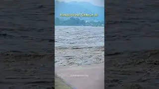 Haridwar Ganga Flood 2025 #ganga #gangaflood2025 #haridwar #gangaflood #youtubeshorts