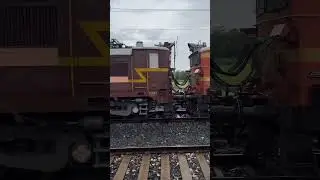 WAG5ha Locomotive Twins #wag5 #indianrailways #shorts