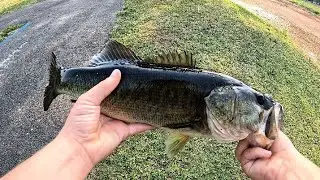 bass fishing lake Parker canal.