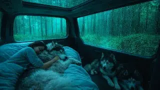 Deep Sleep Rain Sounds | Anxiety Relief, Insomnia Help, Cozy Night Ambience✨