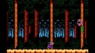 Buxbaum / Bushroot Stage (Darkwing Duck) [Piano]