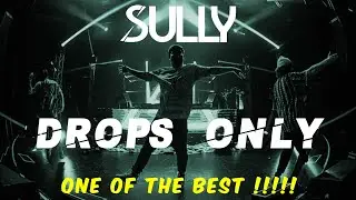 Sully DROPS ONLY - Annie Nightingale Show 2019 [READ DESCRIPTION]