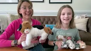 Cat stuffed animal with plush kittens