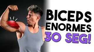 C&Oacute;MO CONSTRUIR BRAZOS ENORMES | La t&eacute;cnica m&aacute;s efectiva