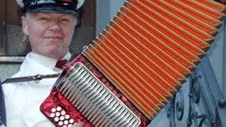 Accordion reeds - leng&uuml;etas del acordeon diatonico - 手风琴 by Peter Unbehauen