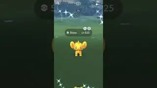 Catching SHUNDO SHINX💯✨✨✨🤔 | Community Day | Pokemon Go