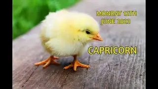 CAPRICORN | MONDAY JUNE 12TH 2023 | DAILY TAROT READING
