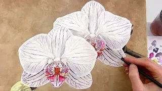 How to paint a realistic stripy patterned orchid in watercolor