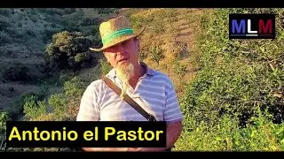 Un dia con Antonio el pastor de Murtas