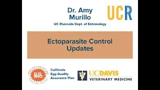 Ectoparasite Control Updates - Dr. Amy Murillo