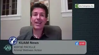 Animal Wellness Action's Wayne Pacelle says cockfighting 