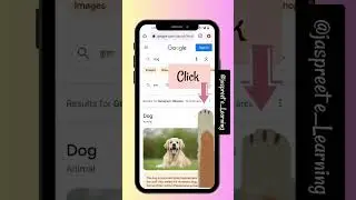 Google hacks - 24 | Google fun trick | Secret Google Tricks you need to try | Animals
