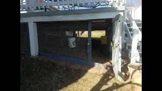 Under Deck Chicken Coop and Run